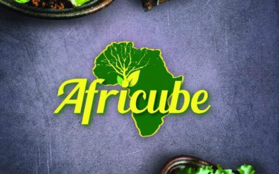 Ahouenou an African Start up !